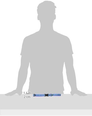 LupinePet Originals 3/4" Sea Glass 15-25" Adjustable Collar for Large Dogs
