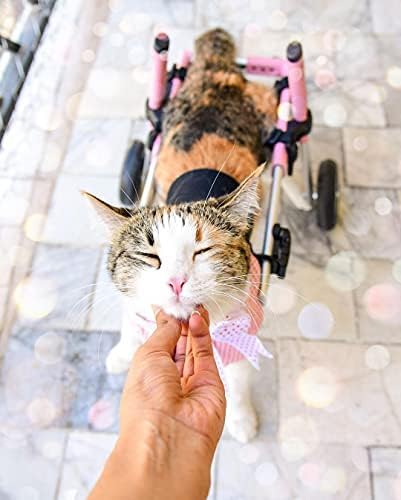 Walkin' Wheels Lightweight – for Small Cats 2 to 20 Pounds – Veterinarian Approved – Cat Wheelchair for Back Legs, for Cats 11-20 lbs, 3-6 inches Leg Height – Seafoam