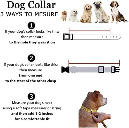Roses&Poetry Reflective Dog Collar with Gradient Azure, Adjustable Durable Pet Collars for Small Medium Large Dogs (Azure-L)