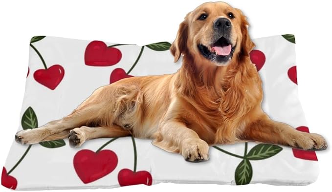Heart Red Cherry Pet Bed Non Slip Waterproof Bottom Flat Cat Bed Chew Proof Dog Beds Washable Dog Car Sleeping Pad Multi Scenario Accessories 36× 24 Inch