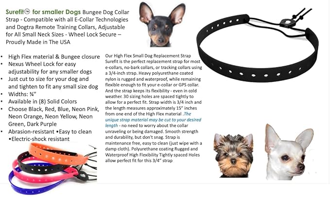 Replacement GPS eCollar with Adjustable Bungee, Multi-Hole Design, and Secure Toggle Closure for Small Dogs (Neon Orange, Small Neck)