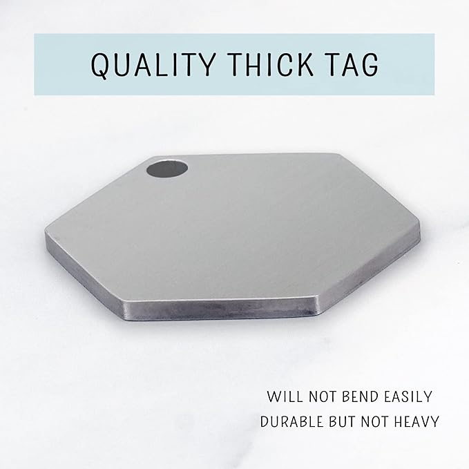 Ultra Joys Custom Personalized Hexagon Dog ID Tag - Brushed Stainless Steel Silver, Small