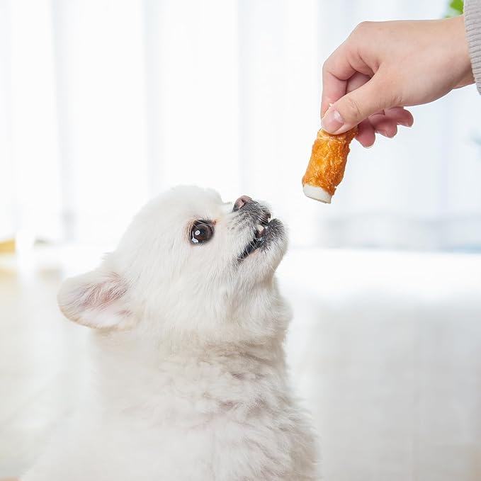 MON2SUN Dog Treats, 2.5 Inch Chicken Wrapped Rawhide Rolls, Teeth Cleaning Chews with High Protein for Small Dogs, 21.2 oz (32 Count - Pack of 1)