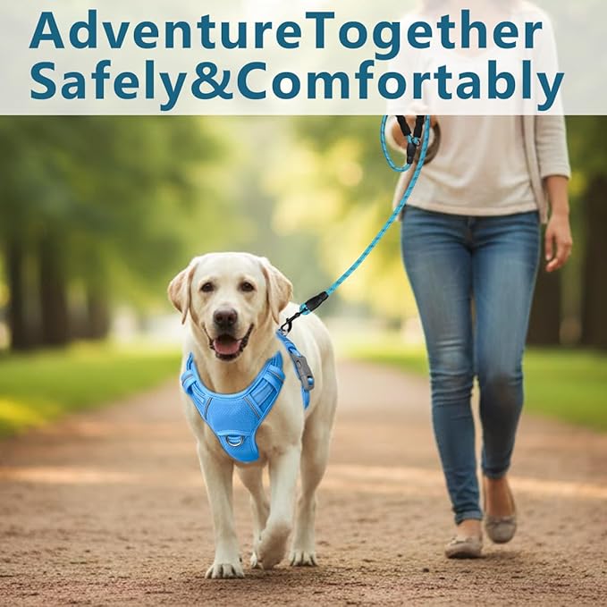 BARKBAY Dog Harness No Pull with ID Tag Pocket - Heavy Duty, Reflective, Easy Control for Large Dogs(Blue,M)