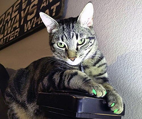 40 Pack Soft Nail Caps for Cat Claws HOT Pink Kitten