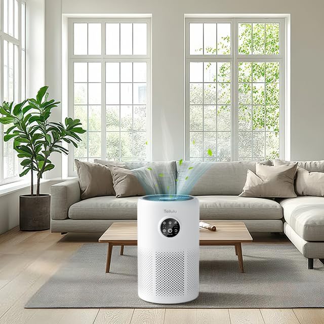 Tailulu D10 Replacement Filter, Air Purifier Filter