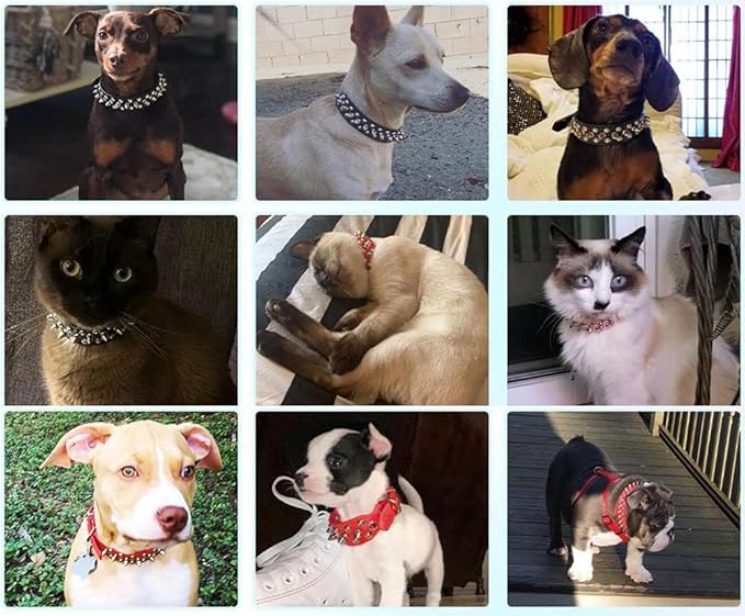 Spiked Dog Collar Soft Pu Leather Mushrooms Rivet Spike Studded Puppy Adjustable Pet Collars for Small Breeds (L, Pink)