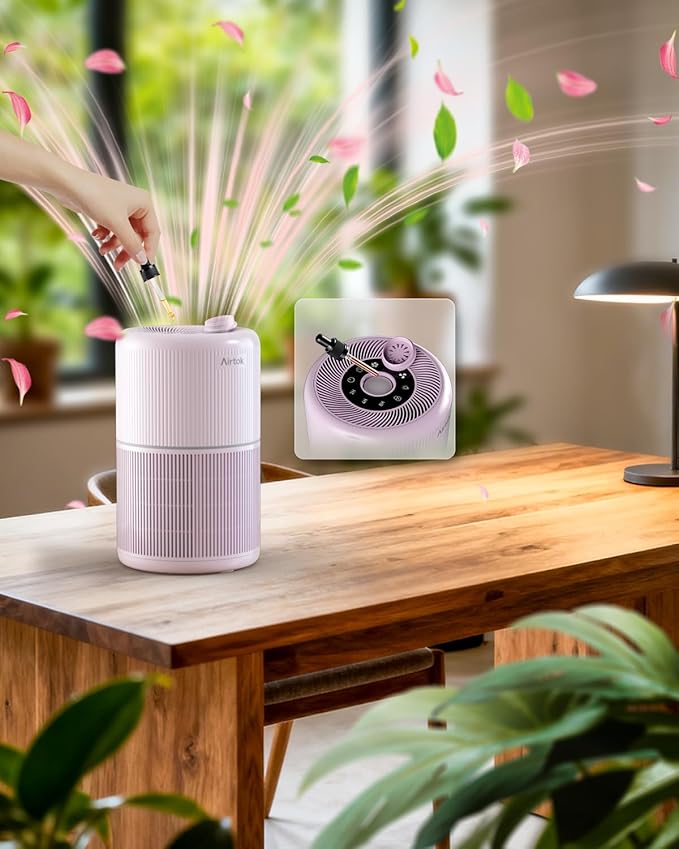 2 Pack Air Purifier for Home Bedroom