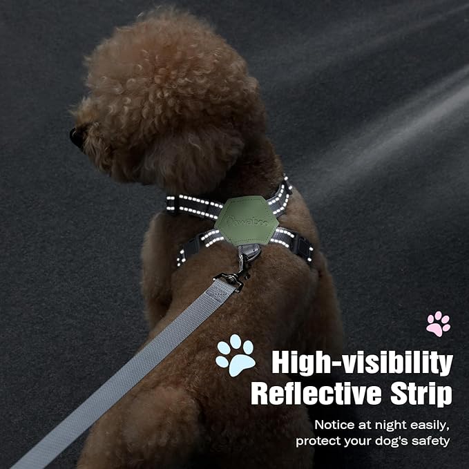Pawaboo Small Dog Harness and Leash Set, Puppy Harness X-Frame No Pull No Choke, Dog Vest Harness Adjustable for Small Medium Sized Dogs, Soft Breathable Pet Harness for Walking Outing, S, Mint Green