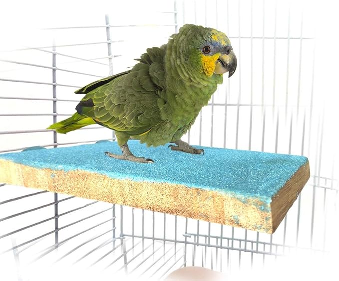 Litewoo Bird Perch Grinding Stand for Bird Parrot Budgie Parakeet Cockatiel Conure Lovebird Finch(5.1" x 3.5")