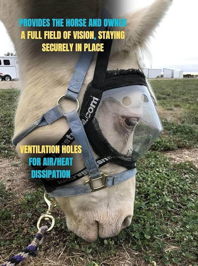 Recovery Vizor (Size Mini/Foal - Clear UV Tint) Medical and Preventative Horse Eye (Goggle) Protection Mask for Uveitis/Injury/Scratch or Corneal Ulcer, Infection, Blindness, Photosensitivity