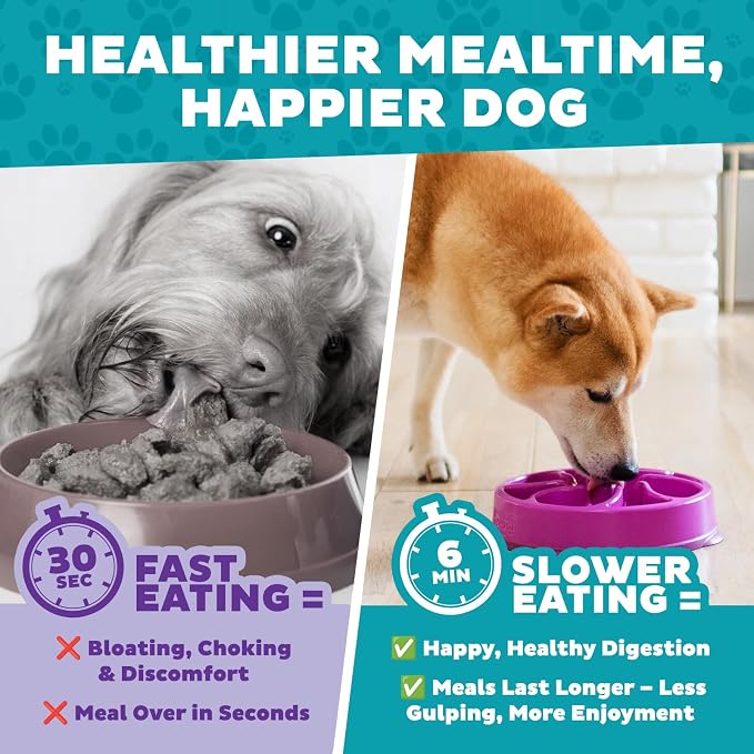 Outward Hound Fun Feeder Slo Bowl – Medium 2‑Cup Capacity, Slow Feeding