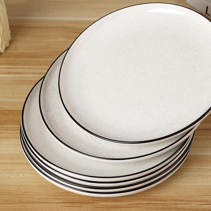 Ceramic White Dinner Plates Set of 6, 10.5 Inch Plates
