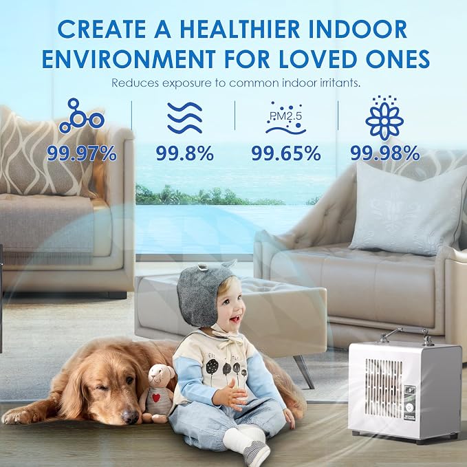Portable Ionic Air Purifier, Hassle-Free Design, Type-C Rechargeable, 6-Hour