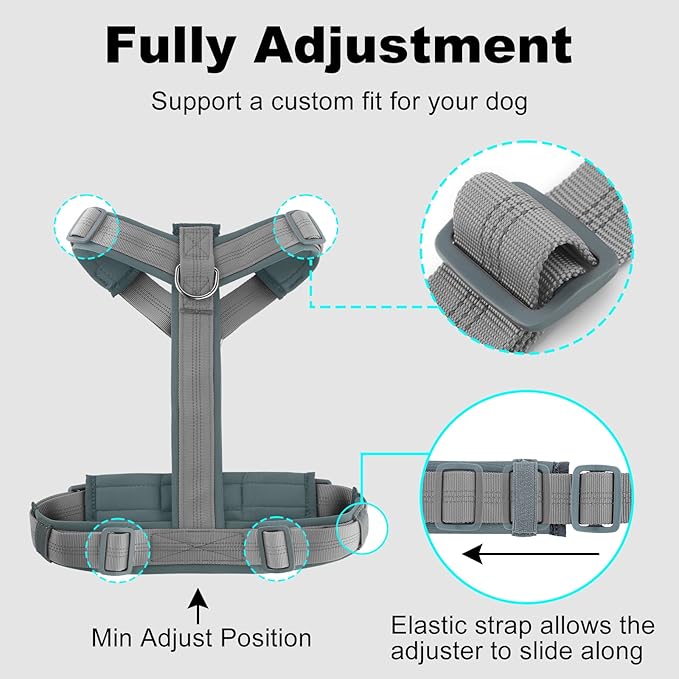 Plutus Pet No Pull Dog Harness, Adjustable Nylon Harness with Soft Padding, Reflective and Heavy Duty Dog Harness for Small, Medium, Large Dogs(Gray, XS)