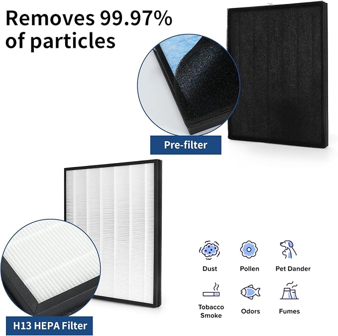 2 Packs H13 True HEPA Replacement Filter Compatible