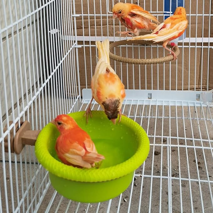FOIBURELY Multi-Function Caged Bird Bath Bird Cage Parrot Supplies Bathing Tub for Canary Finch Budgerigar,Perch Stand(4.5")