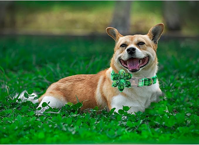 Lionheart glory St. Patrick's Day Dog Collar with Flower Dog Collar for Medium Dogs, Green Plaid Cute Collars Spring Dogs Collars Flower Puppy Heavy Duty Cute