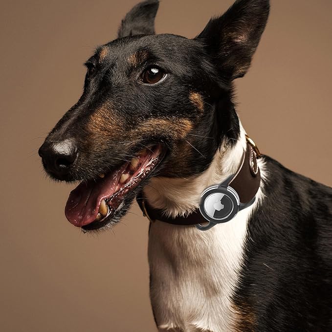 Waterproof Airtag Holder for Dog Collar, Soft Full-Body Protective Airtag Holder for Dog & Cat Collars, Ultra-Durable, Easy Installation, Lightweight Clear Airtag Case (Green, Large)