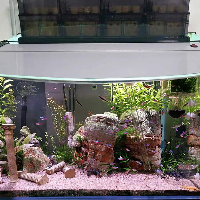 hygger 6.2-Inch Long Aquarium Bio Media Ceramic Filter Media Blocks