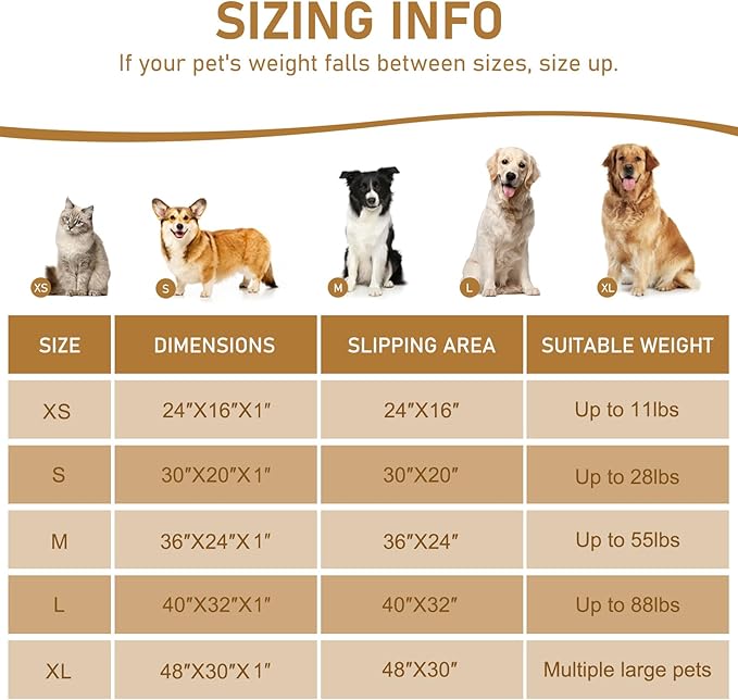 Smiry Dog Door Mat for Muddy Paws 30x20, Absorbs Moisture and Dirt Doormat, Non-Slip Washable Quick Dry Chenille Front Door Mat Indoor Entrance, Entryway Carpet for Inside Floor, Green