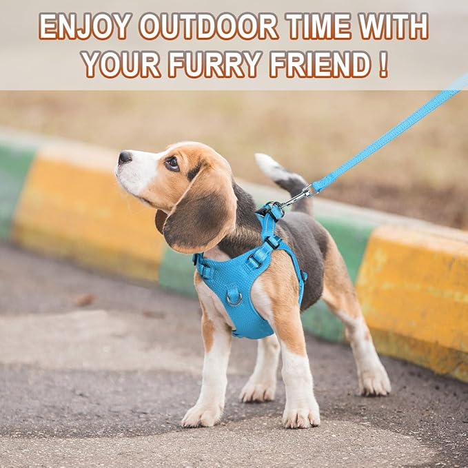 Dog Harness Step in Dog Vest Harness, Reflective Adjustable Puppy No Pull Harness Breathable Soft for Small and Medium Dogs Cats, Blue, XS