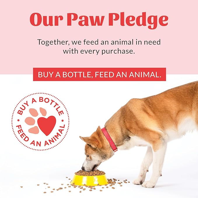SKOUT'S HONOR Probiotic Pet Deodorizer Spray- Hydrating Daily-Use with Avocado Oil & Omega-3s, Microbiome Friendly Certiified, Paraben & Sulfate-Free, 97% Natural, 8oz, Honeysuckle, 2-Pack