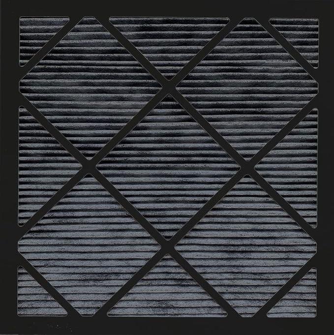 ORANSI Replacement Pleated Carbon Filter
