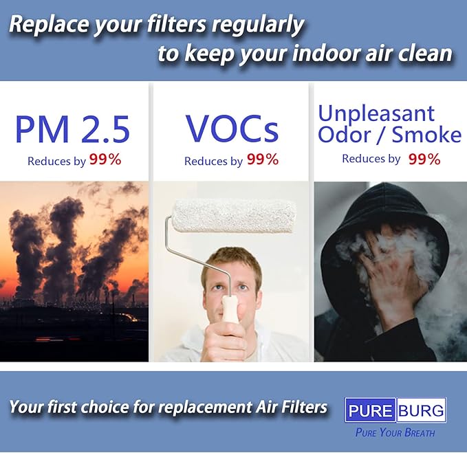 PUREBURG AP03 Replacement Filter Compatible