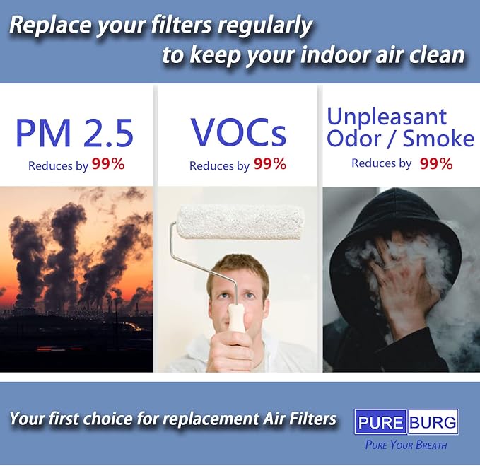 PUREBURG Replacement Filter Compatible
