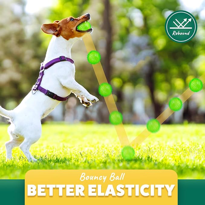 2 Different Functions Interactive Ball for Dogs 2.5” Squeaky Dog Balls Toys and Puppy Teething Chew Toy Balls for Small Dogs for Clean Teeth and Training (5Pcs)