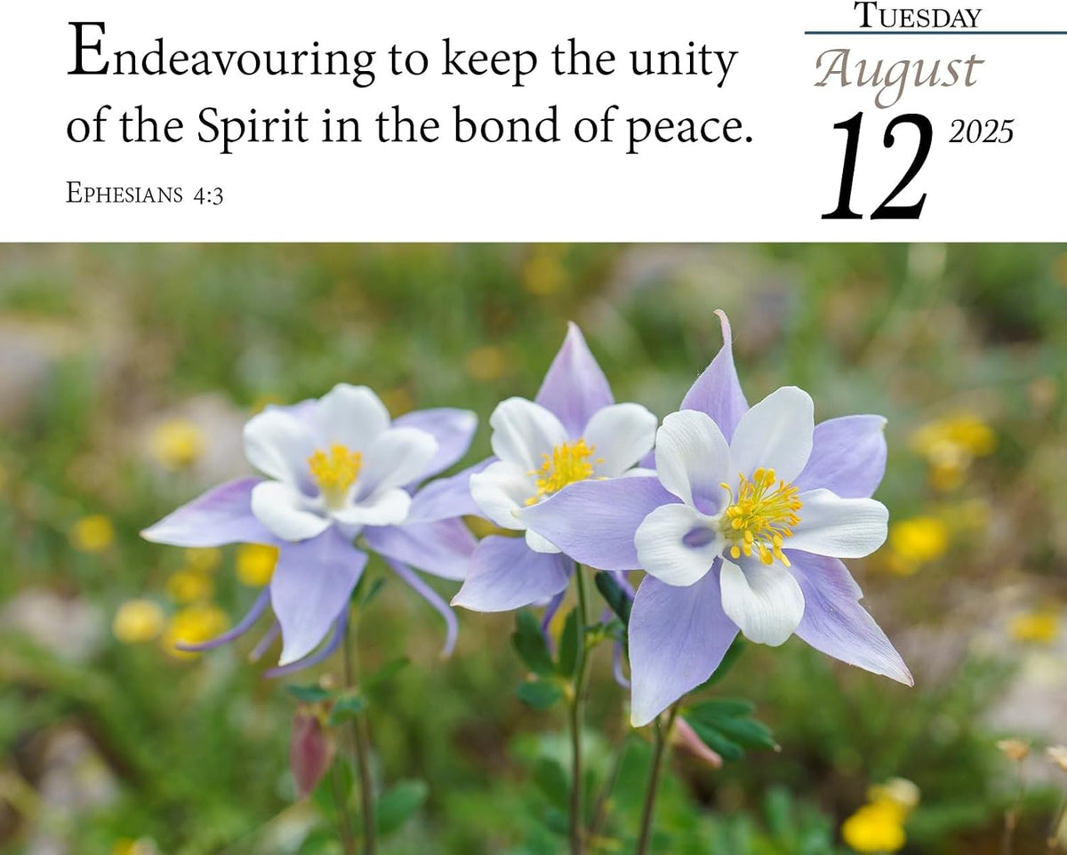 Verse for the Day Calendar 2025 - Daily Bible Calendar with KJV Scripture - 365 Pages