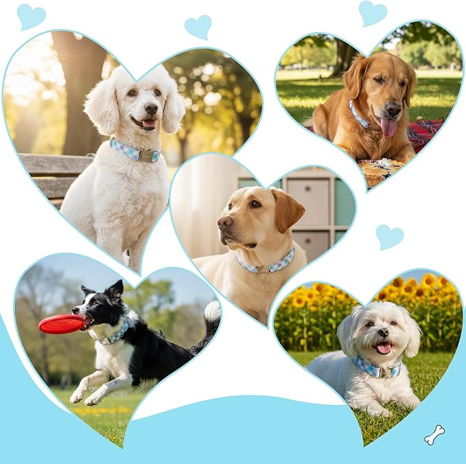 Cotton Collar for Dog,Soft Adjustable Dog Collars for Small Dogs, Cute Dog Collar with Blue & White Plaid for Small Medium Large Dogs, Perfect for Girl or Boy Dog Collars-S