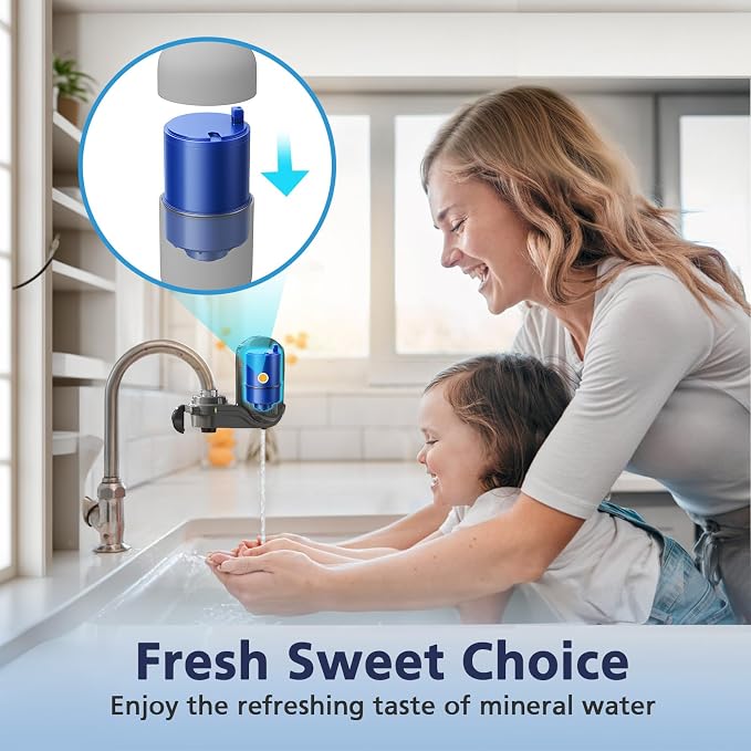 6 Pack Water Filter Replacement Compatible