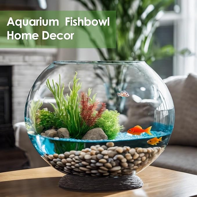 Craft And Party, Glass Bubble Vase, 8" Height x 10" Width Glass Fish Bowl, Bubble Bowl for Terrarium, Flower Centerpiece