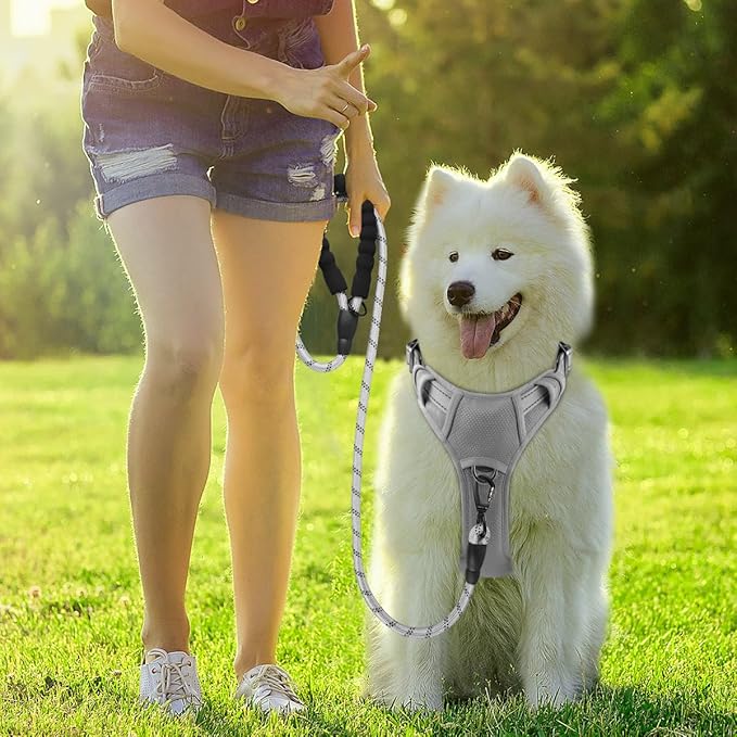 BARKBAY Dog Harness No Pull with ID Tag Pocket - Heavy Duty, Reflective, Easy Control for Large Dogs(Grey,S)