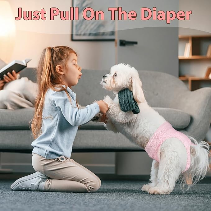 Ambreview Disposable Dog Diapers Female, Just Pull It Up, Doggie Diapers for Female Dogs, Strong Absorbency | Leak Proof, for Dogs in Heat | Elderly | Disabled, XS 10 PCS