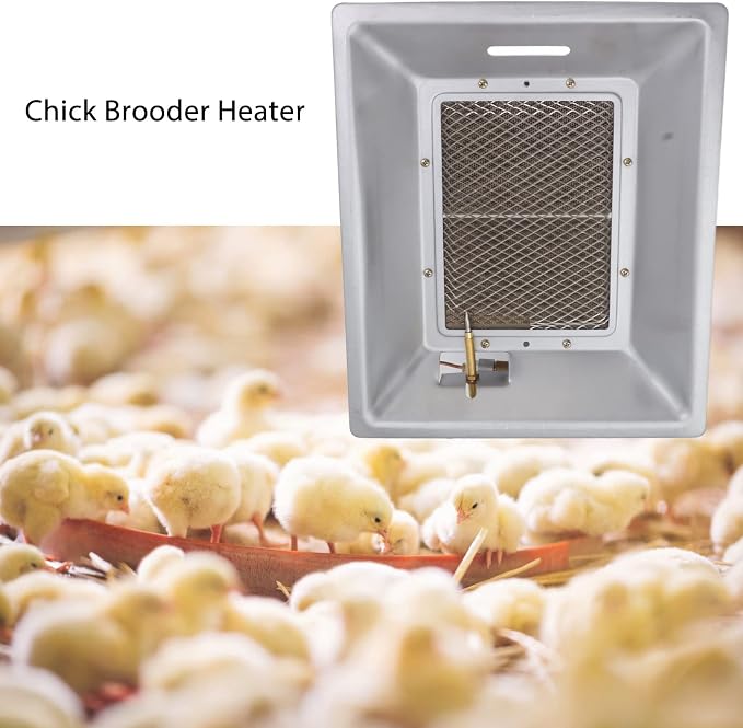 Chick Gas Brooder Heater, Chicken Coop Heater, Manual Infrared Ceramics