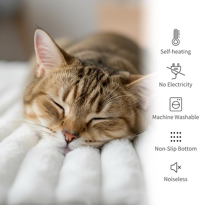 NWK Pack of 4 Fluffy Self Warming Cat Mat, Cat Blanket, Thermal Dog Mat, Washable, Non-Slip Bottom for Sofa & Crate & Kennel & Car Seat (Creamy White, Medium (27'' X 18.5'' X 0.7''))