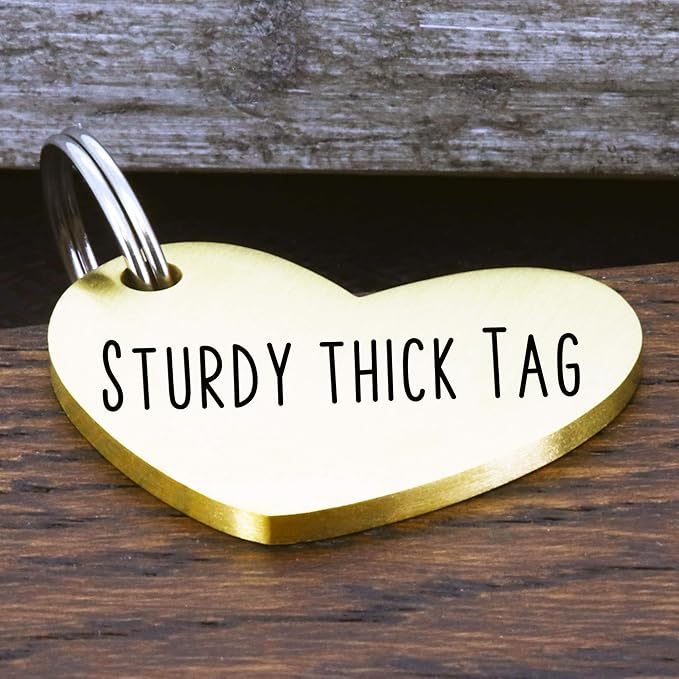Ultra Joys Custom Personalized Dog ID Tag - Brushed Stainless Steel Heart, Large