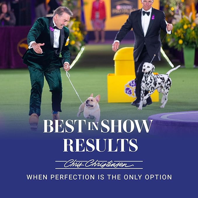 Chris Christensen Just Divine Dog Brushing Spray, Groom Like a Professional, Prevents Brushing Damage, Light Detangler, Ready to Use, All Coat Types, Made in USA, 16oz