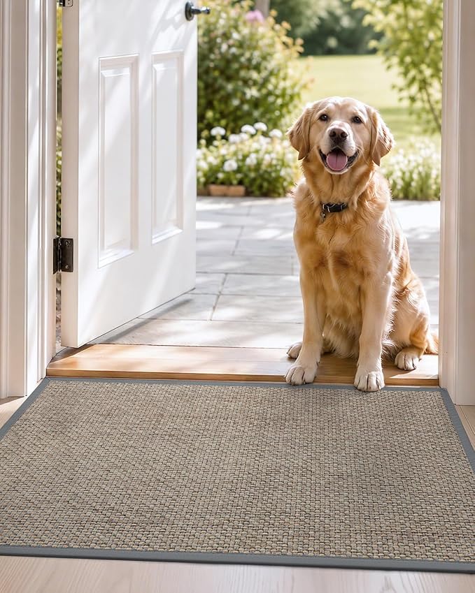 DEXI Ultra Thin Entryway Indoor Door Mat 24x36, Non Slip Rubber Backing Inside