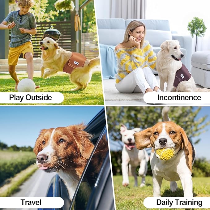Washable Dog Diapers Male Reusable, Premium Belly Bands for Male Dogs, Pack of 3, High Absorbing Extra Large Male Dog Pee Wraps for Doggies in Incontinence or Excitable Urination and Training(XL)