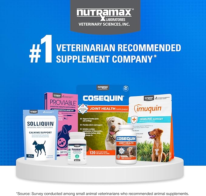 COSEQUIN Maximum Strength Joint Supplement Plus MSM & Omega-3's - With Glucosamine and Chondroitin - For Dogs of All Sizes (Soft Chews)