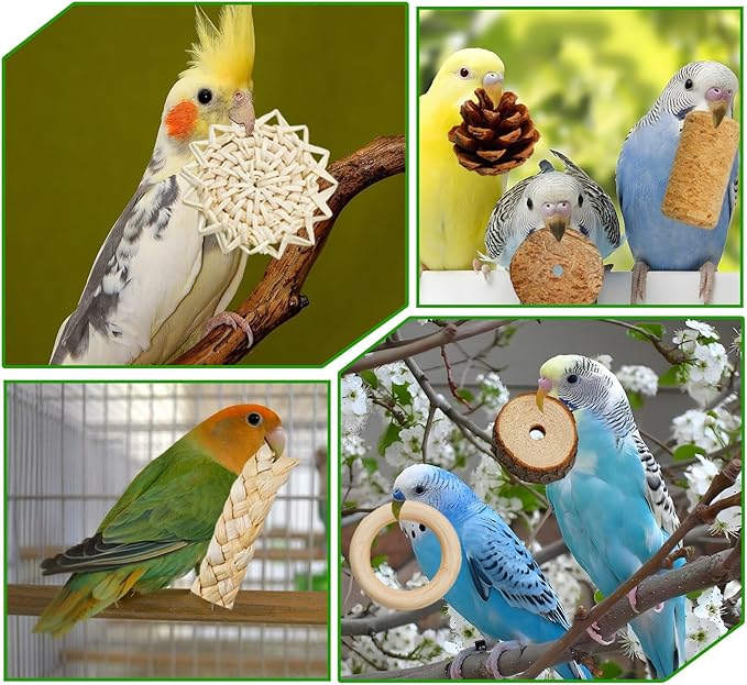 Bird Toys, Variety Natural Bird Foraging & Shredding Toys Boxes, Safe Parrot for Cockatiel ,Lovebird,Cockatoo,Macaw ,African Grey Parrot & Small Birds