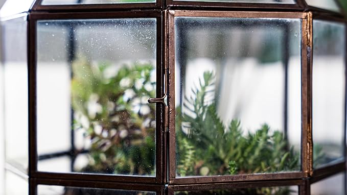 Urban Born Large Terrarium Birdcage, Glass and Metal Indoor Display Case, Unique Gift Idea, Succulent Container, Orchid Planter, Home Decor. (Bronze) 10" x 9"(Diameter)