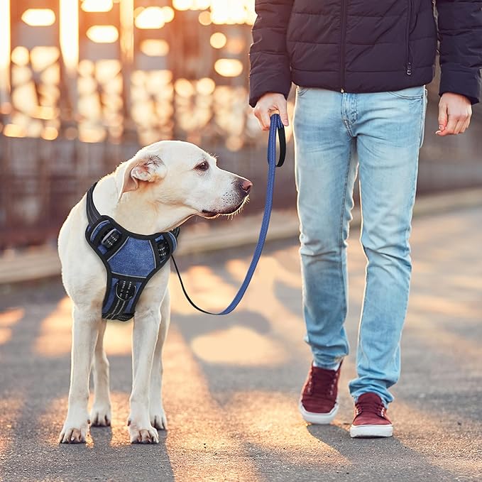 BUMBIN Dog Harness for Large Dogs, No Pull Adjustable No Choke Pet Vest with Dog Leash Fit Smart Reflective Pet Walking Harness for Training Easy Control Soft Handle Denim Blue XL