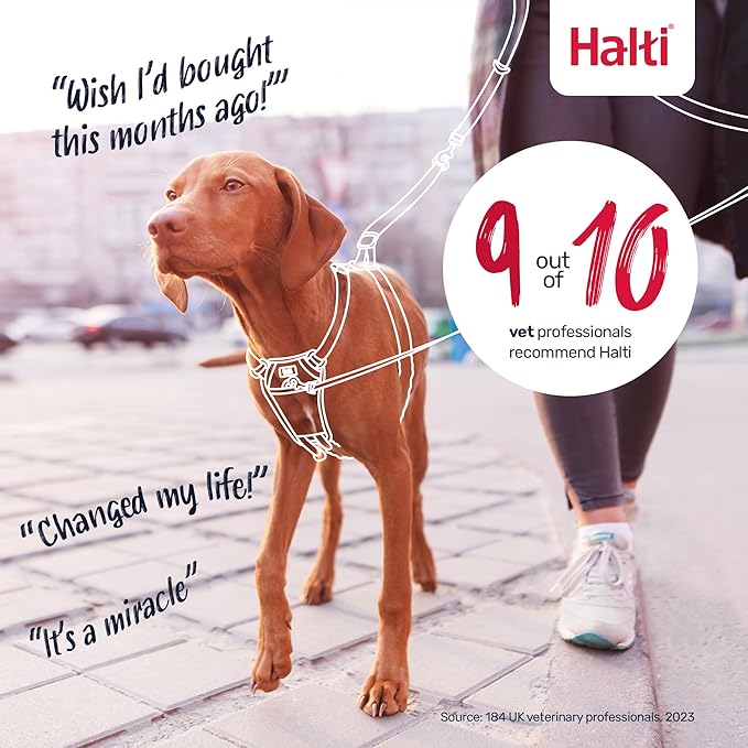 Halti No Pull Harness - Stop Your Dog Pulling on The Leash. Adjustable, Lightweight and Easy to Use. Reflective Dog Training Harness for Small Dogs (Size S, Deep Walnut)