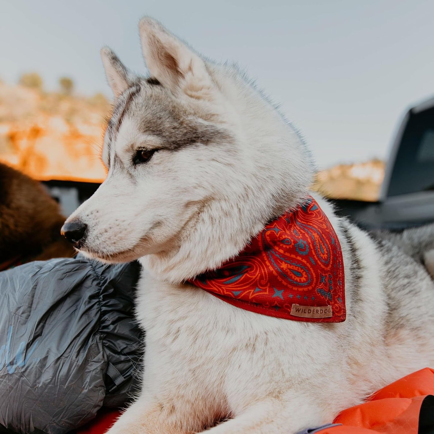 Wilderdog Dog Bandana with Lightweight Quick Drying Poly-Blend Mesh Material in Rodeo