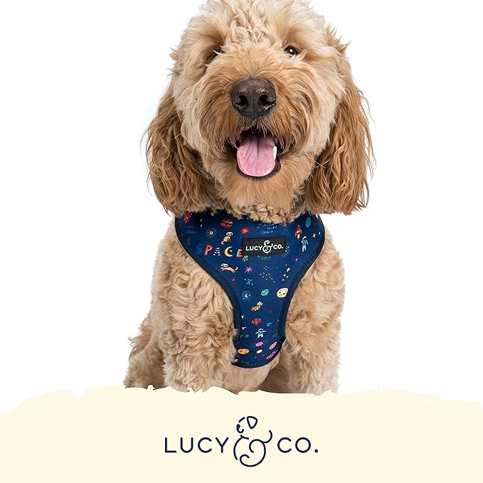Lucy & Co. Cute Reversible Dog Harness Walking Halter - Best Designer Pet Harnesses Extra Small Medium Large XL Dogs Plus Pug Breeds - Padded Adjustable Puppy Vest Easy Walking (Space Doodle, Small)